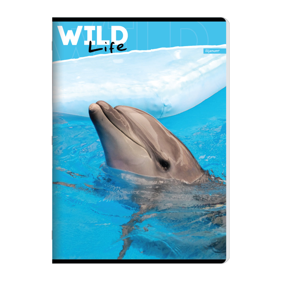 Caiet A5 capsat, 52 file matematica, 70g/mp, design animale Caiet A5 capsat, 52 file matematica, 70g/mp, design animale
